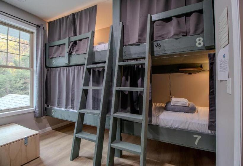 The Lazy Tiger Hostel