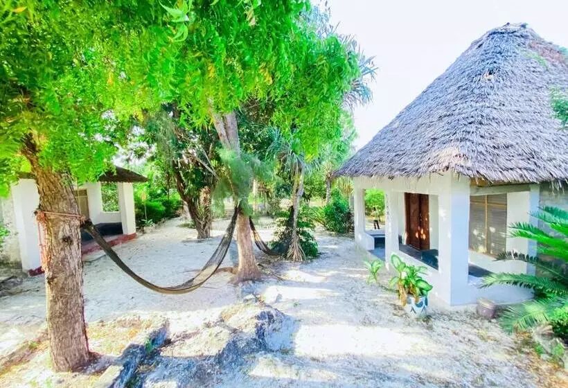 تختخواب و صبحانه Bwejuu Garden View Bungalows