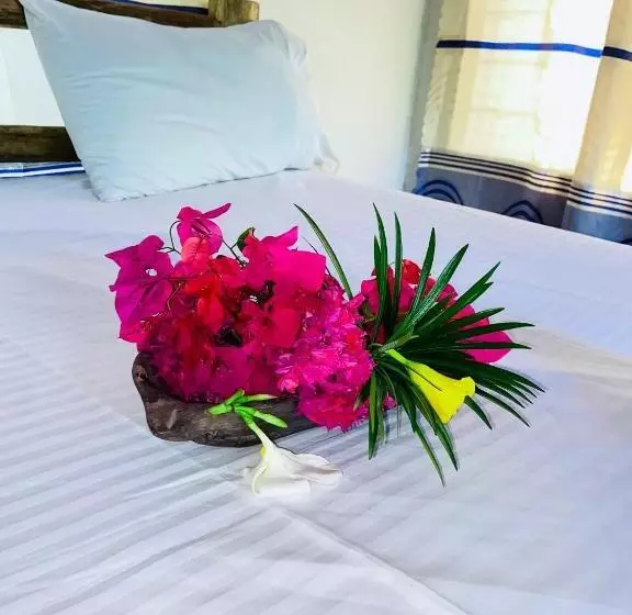 تختخواب و صبحانه Bwejuu Garden View Bungalows