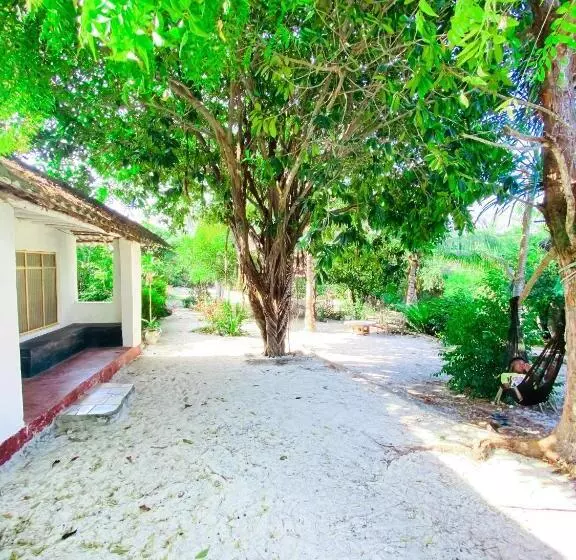 تختخواب و صبحانه Bwejuu Garden View Bungalows