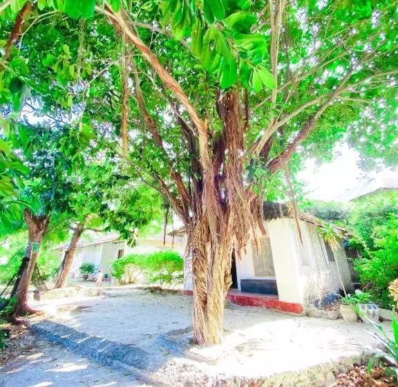 تختخواب و صبحانه Bwejuu Garden View Bungalows