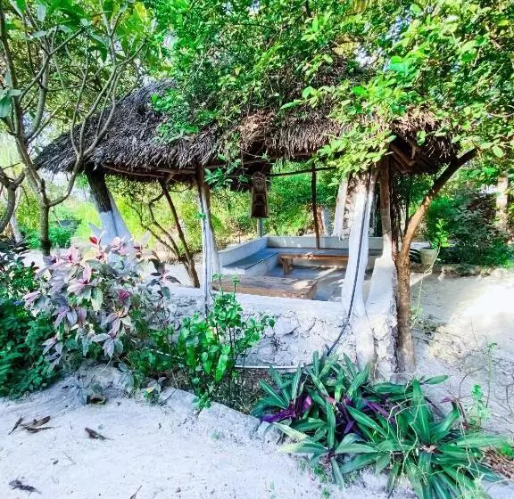 تختخواب و صبحانه Bwejuu Garden View Bungalows