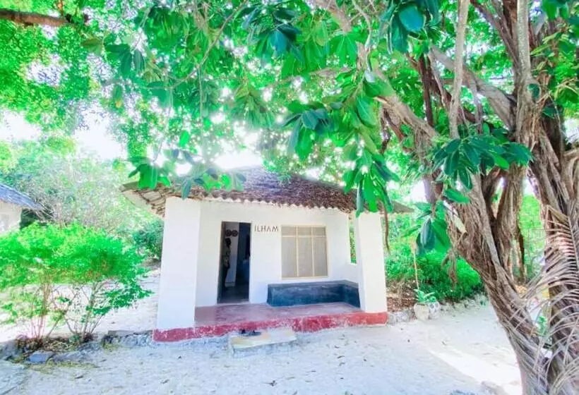 تختخواب و صبحانه Bwejuu Garden View Bungalows