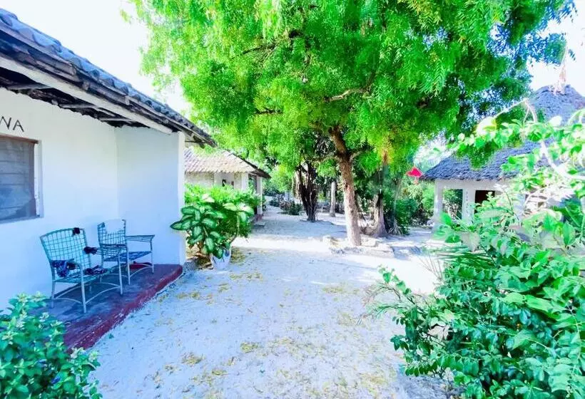 تختخواب و صبحانه Bwejuu Garden View Bungalows