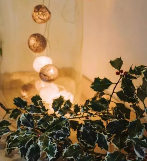 Aamiaismajoitus (B&B) Casa Camilla