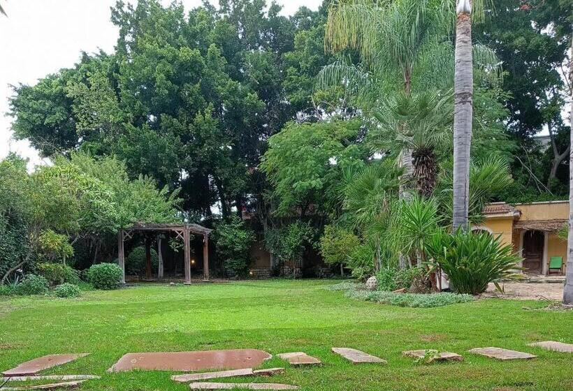 تختخواب و صبحانه Lunar King Mariout