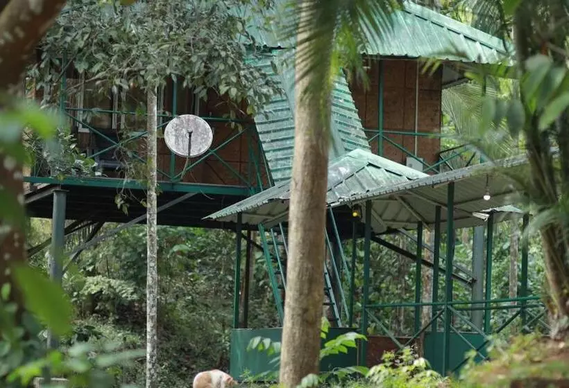Coffee Land Resort