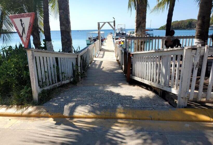 هتل Caribbean Inn