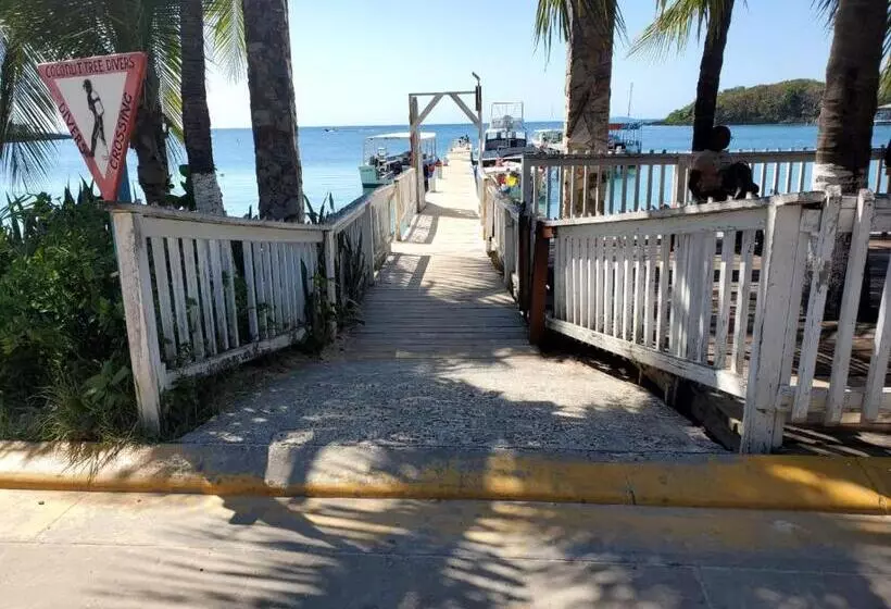 هتل Caribbean Inn