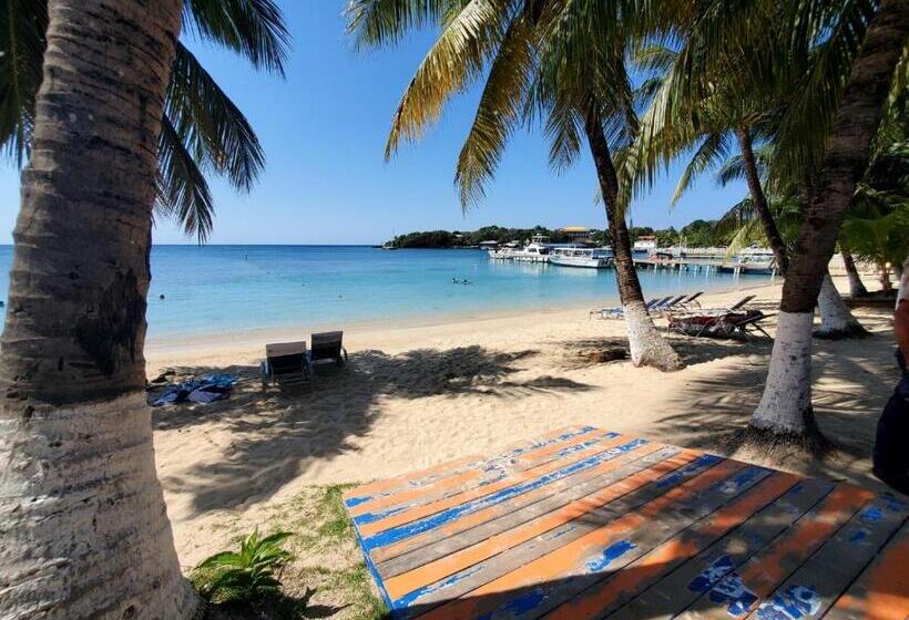 هتل Caribbean Inn