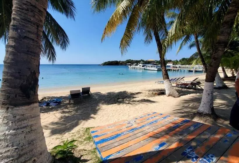 هتل Caribbean Inn