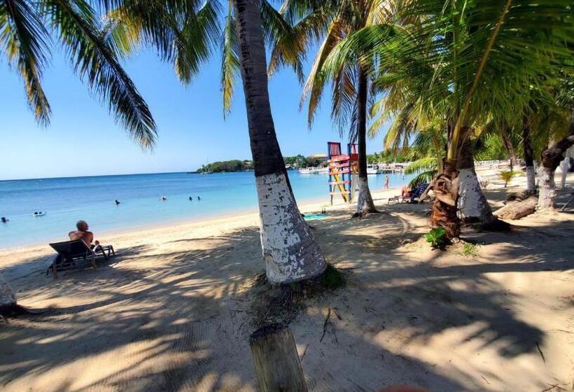 هتل Caribbean Inn