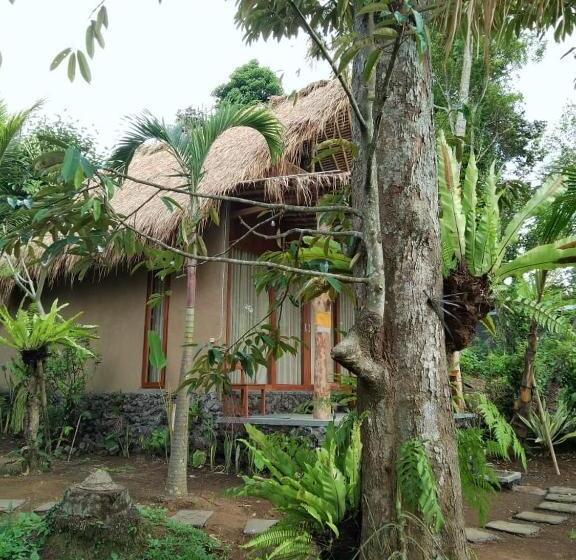 膳宿费 Narta Guest House