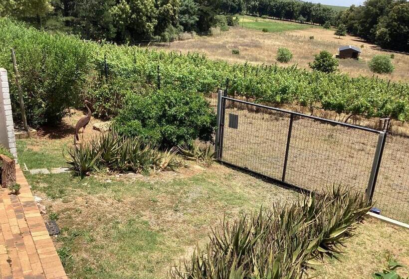 Пансион Roland’s Valley Art Accommodation