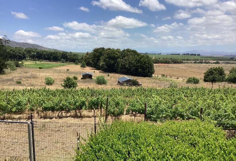 Пансион Roland’s Valley Art Accommodation