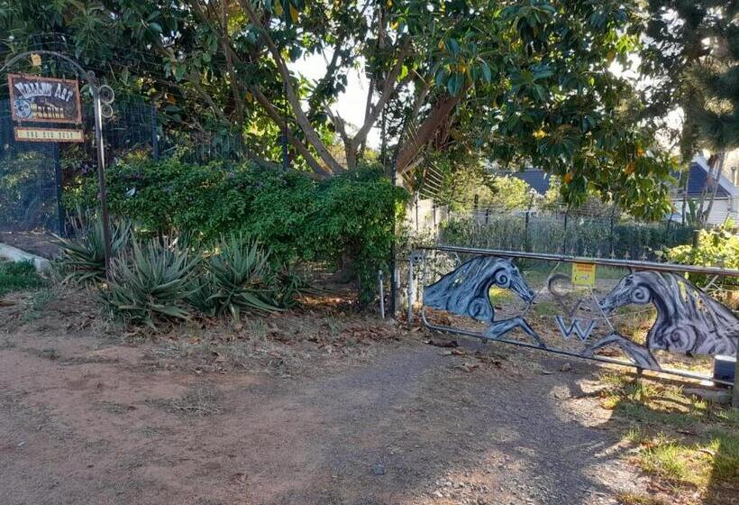 Пансион Roland’s Valley Art Accommodation