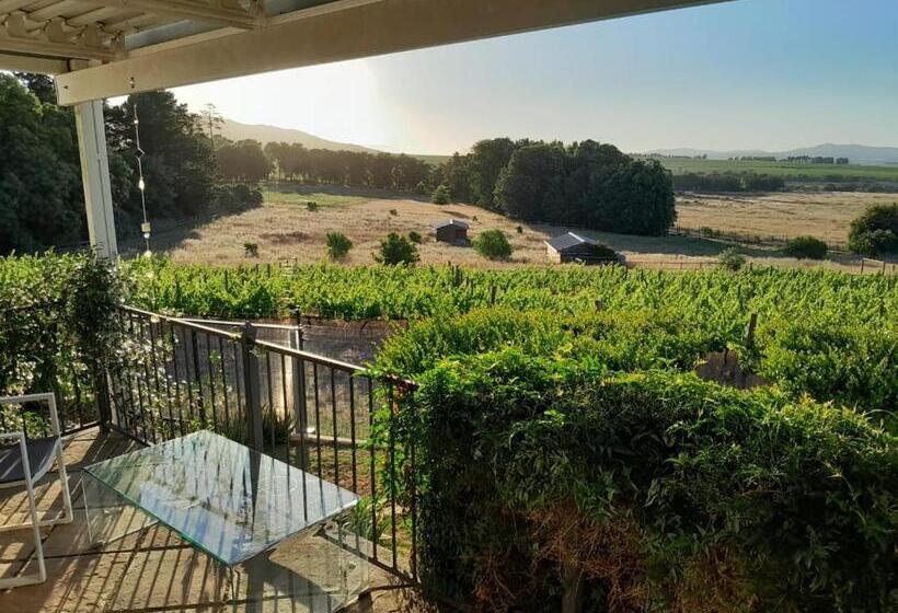 Пансион Roland’s Valley Art Accommodation