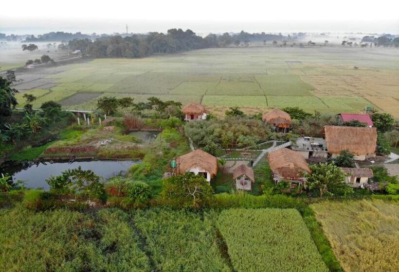 منتجع Paddy Shed