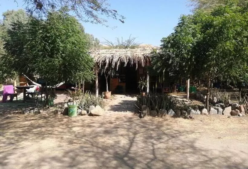 هاستل Maison Nim
