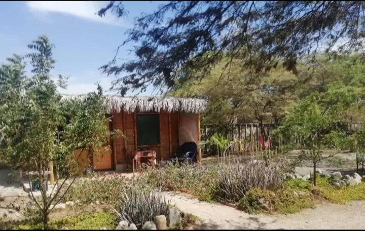هاستل Maison Nim