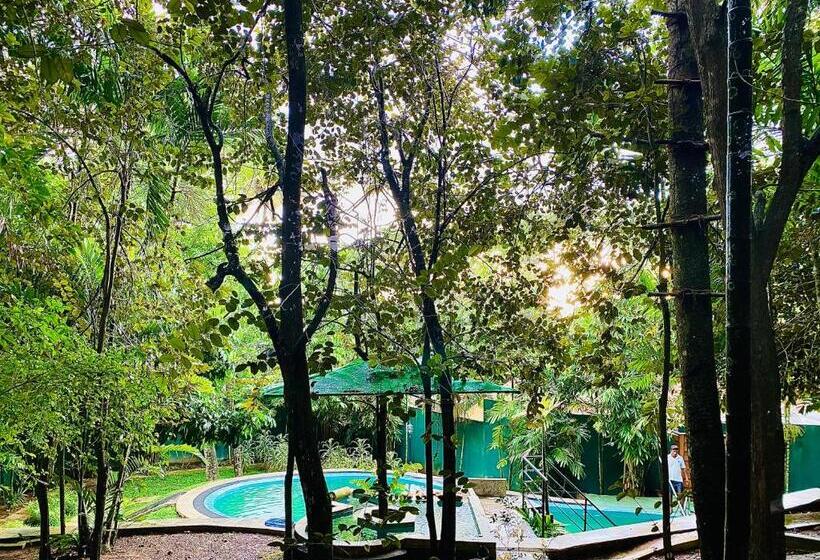 Bed and Breakfast Nature Will