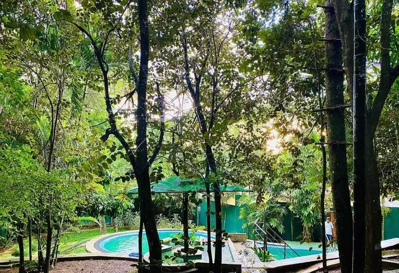 Aamiaismajoitus (B&B) Nature Will