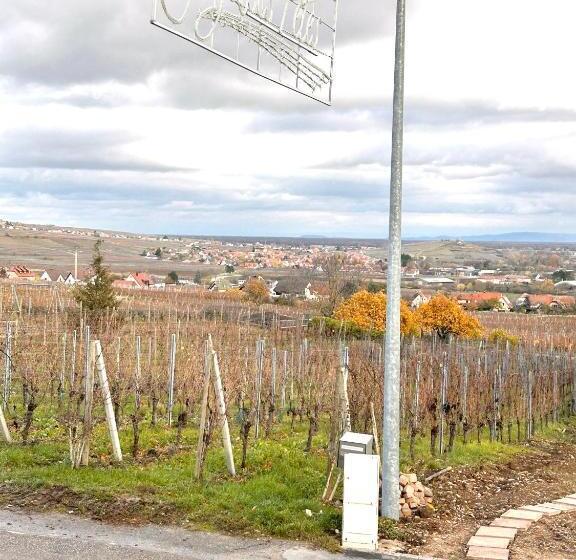 Pensiune Casa Ribeiro Relax  15min Colmar