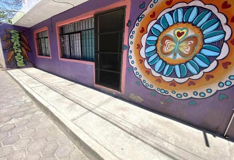 پانسیون Casa Sorachique