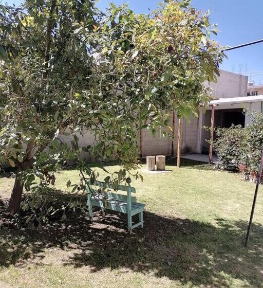 پانسیون Casa Sorachique