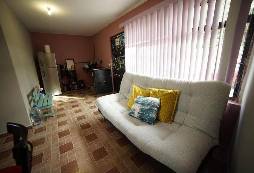 پانسیون Casa Sorachique