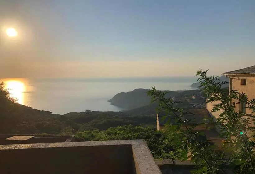 ペンション Chambre D Hôtes Avec Piscine Dans Le Cap Corse
