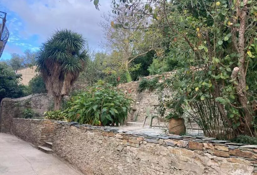 ペンション Chambre D Hôtes Avec Piscine Dans Le Cap Corse