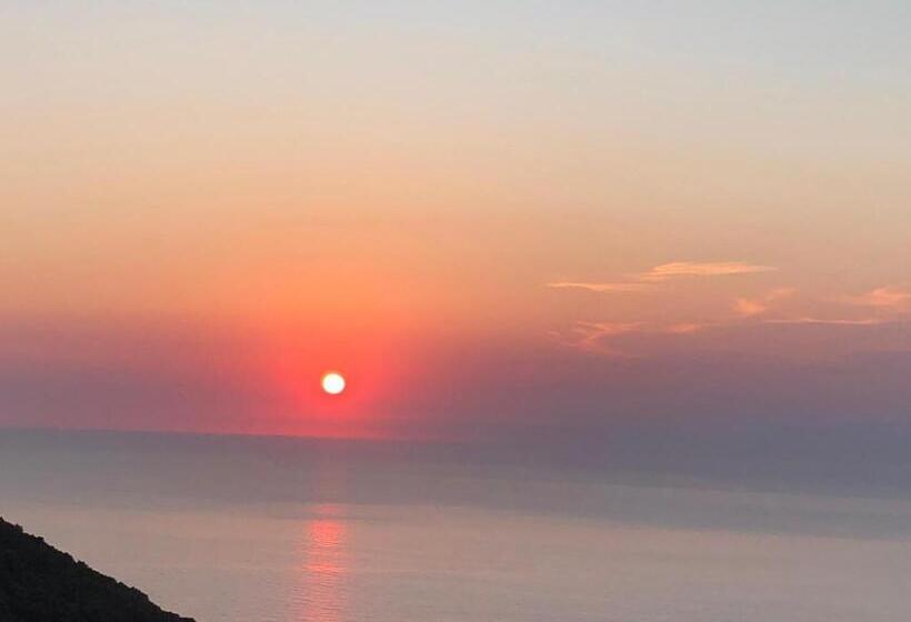 Пансион Chambre D Hôtes Avec Piscine Dans Le Cap Corse