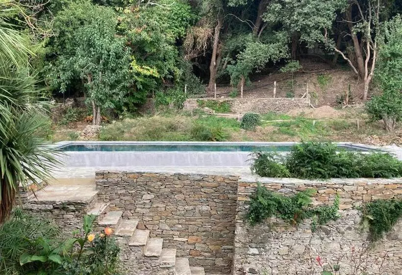 ペンション Chambre D Hôtes Avec Piscine Dans Le Cap Corse