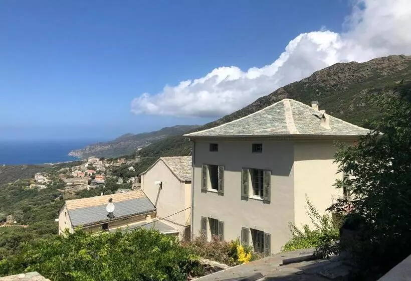 ペンション Chambre D Hôtes Avec Piscine Dans Le Cap Corse