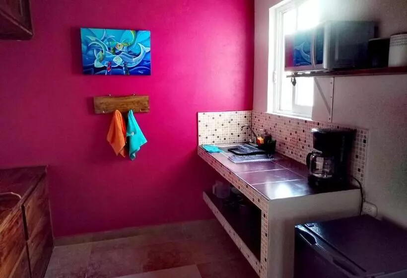 Majatalo Estudio Con Aroma A Oaxaca