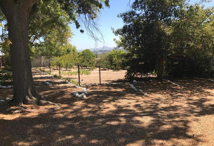 膳宿费 In The Vine Country Manor Guesthouse