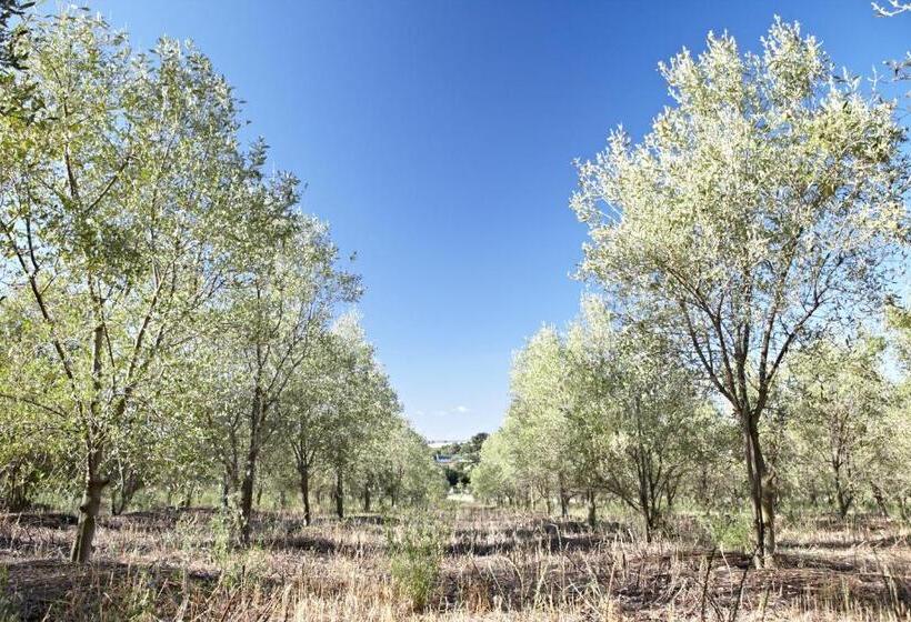 膳宿费 In The Vine Country Manor Guesthouse