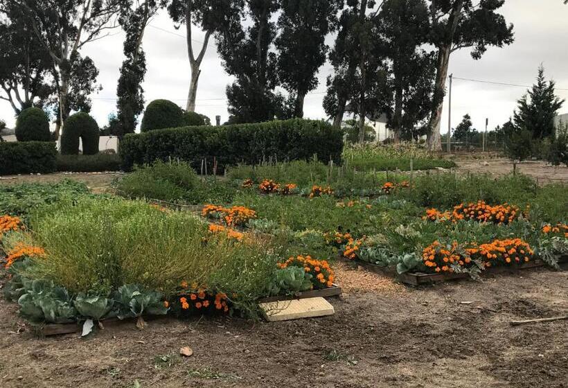 膳宿费 In The Vine Country Manor Guesthouse