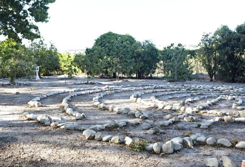 膳宿费 In The Vine Country Manor Guesthouse