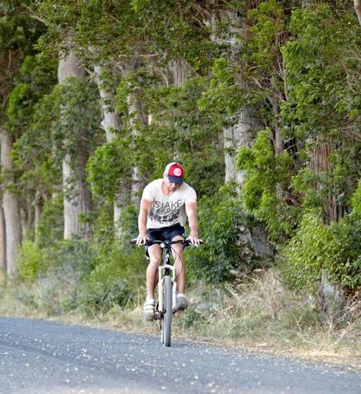 膳宿费 In The Vine Country Manor Guesthouse