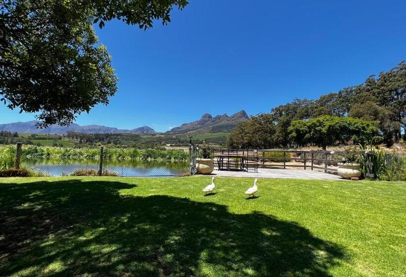 膳宿费 In The Vine Country Manor Guesthouse