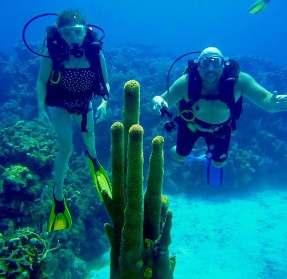 استراحتگاه Villas De Cisnes Queen Studio