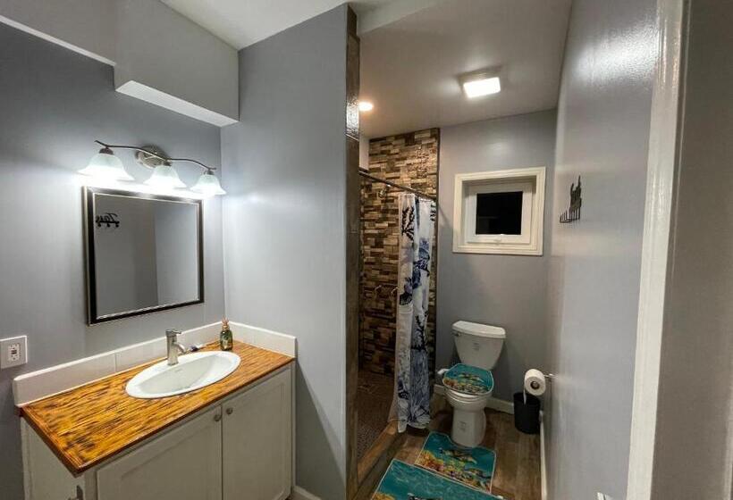 استراحتگاه Villas De Cisnes Queen Studio