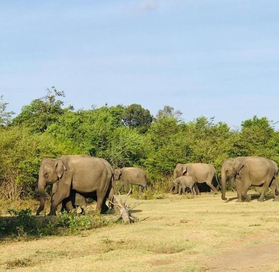 Hotel Nature Elephant Safari Resort