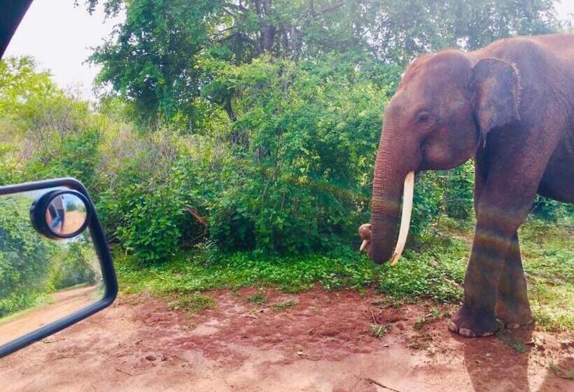 Hotel Nature Elephant Safari Resort