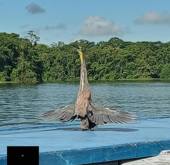 펜션 Backpakers Tortuguero Princesa Del Río