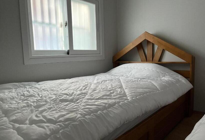 پانسیون Clara House