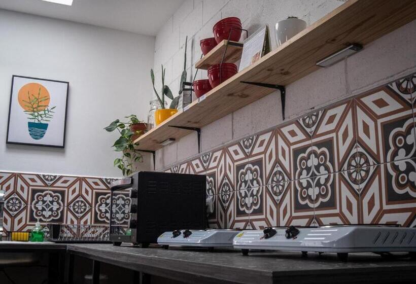 ペンション Lolas Hostal, Habitacion Exclusiva Para Mujeres, 2 Camarotes, Precio Por Cama