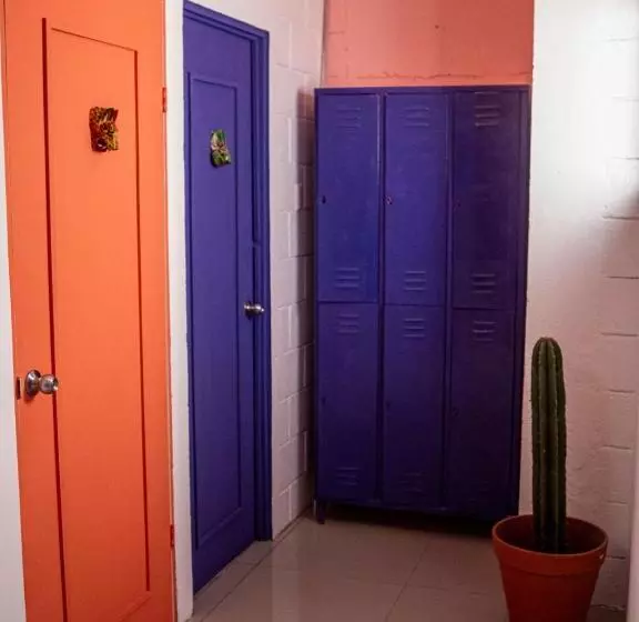 ペンション Lolas Hostal, Habitacion Exclusiva Para Mujeres, 2 Camarotes, Precio Por Cama